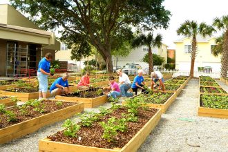BEAM’s organic garden serves the Jacksonville’s beach communities.