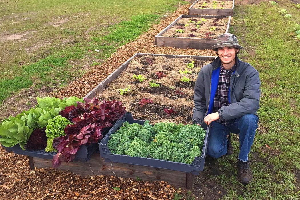 Volunteer Connor St. George with new crops at White Harvest Farm