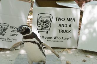 TWO MEN AND A TRUCK® Jacksonville is partnering with the Jacksonville Zoo and Gardens to host its Movers for Moms® collection drive to provide critical gifts to local women staying in community shelters this spring.